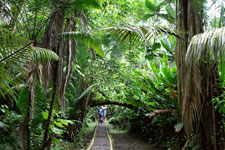 Ecuador-Amazon-La Selva Jungle Lodge